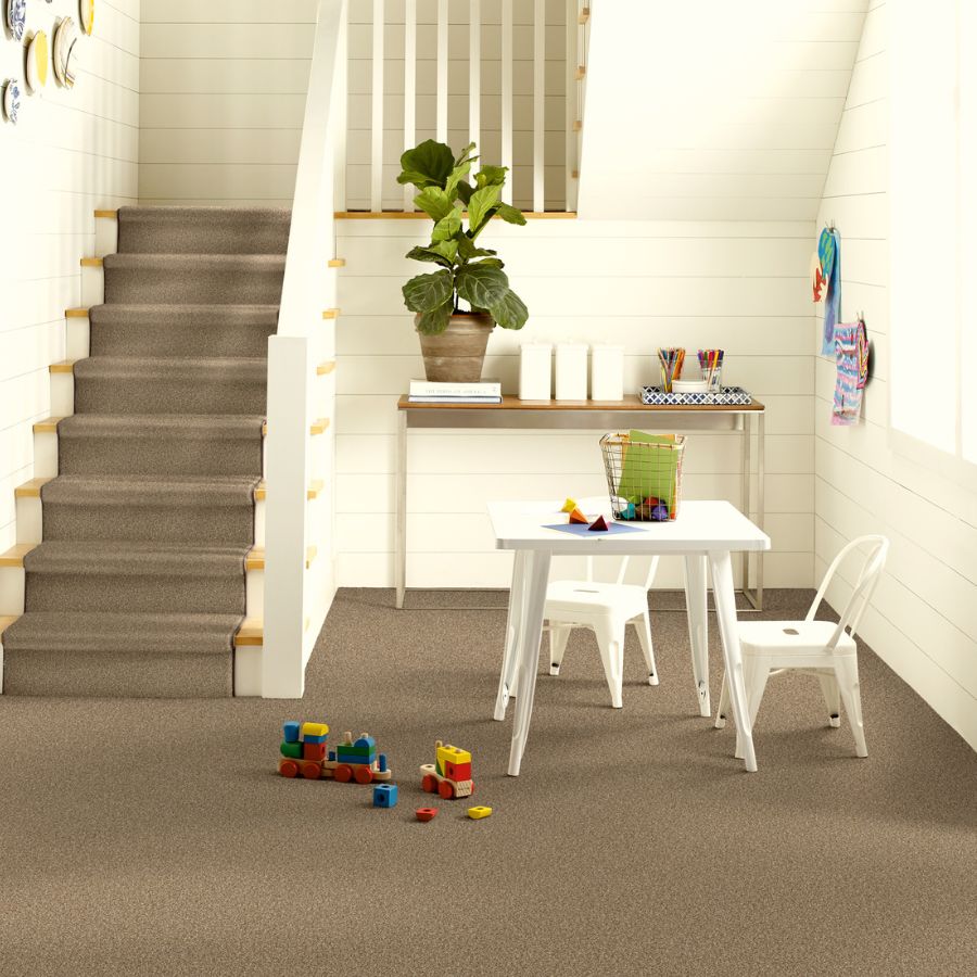 stair runner in a Lakeland TN entry stairway